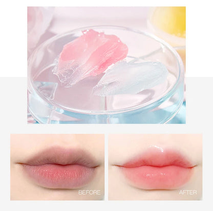 4/6/8pcs Moisturizing Lip Balm Set Whitening Moisturizing Base Natural Plant Base Moisturizing Crack Lip Care Jelly Moisturizer Beauty World Shop