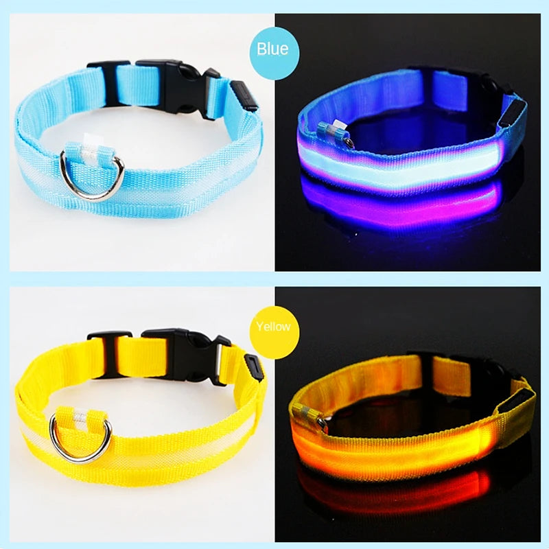 USB Rechargeable Luminous Collar Adjustable Led Glowing Dog Collar for Large Small Dogs Cat Night Light Collar Pet Safety Harnes Beauty World Shop