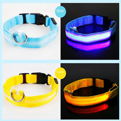 USB Rechargeable Luminous Collar Adjustable Led Glowing Dog Collar for Large Small Dogs Cat Night Light Collar Pet Safety Harnes Beauty World Shop