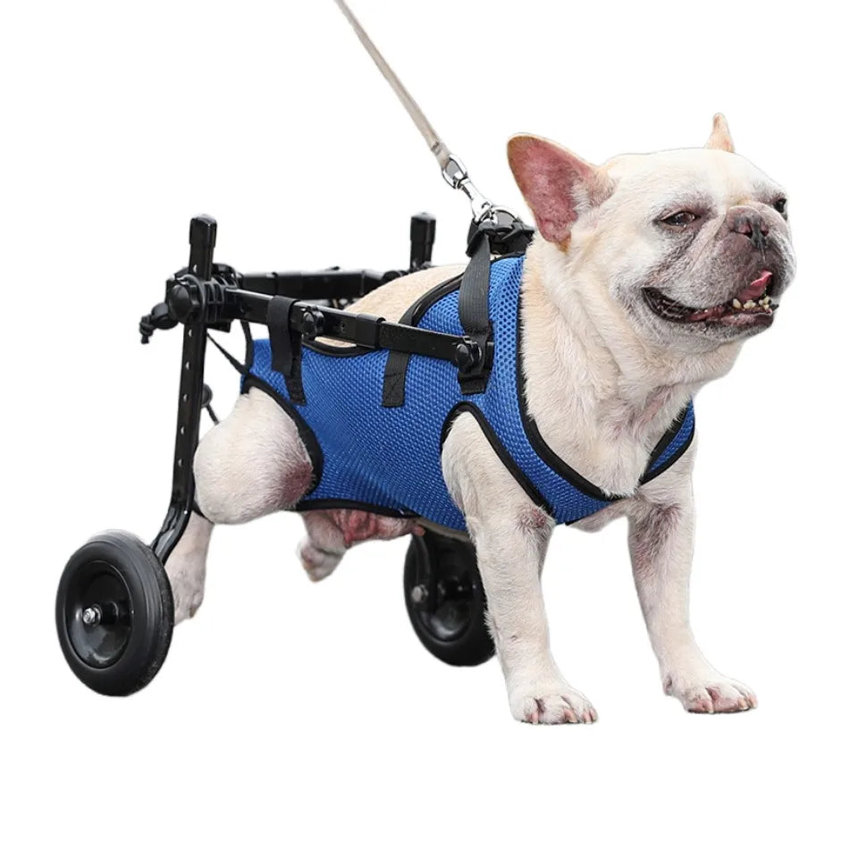 Pet Wheelchair Cart Adjustable Pet Mobility Aids with Wheels Disabled Cat Dog Rehabilitation Walking Mobility Aid Troll Beauty World Shop
