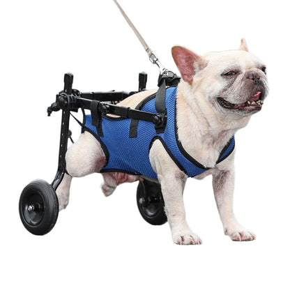 Pet Wheelchair Cart Adjustable Pet Mobility Aids with Wheels Disabled Cat Dog Rehabilitation Walking Mobility Aid Troll Beauty World Shop