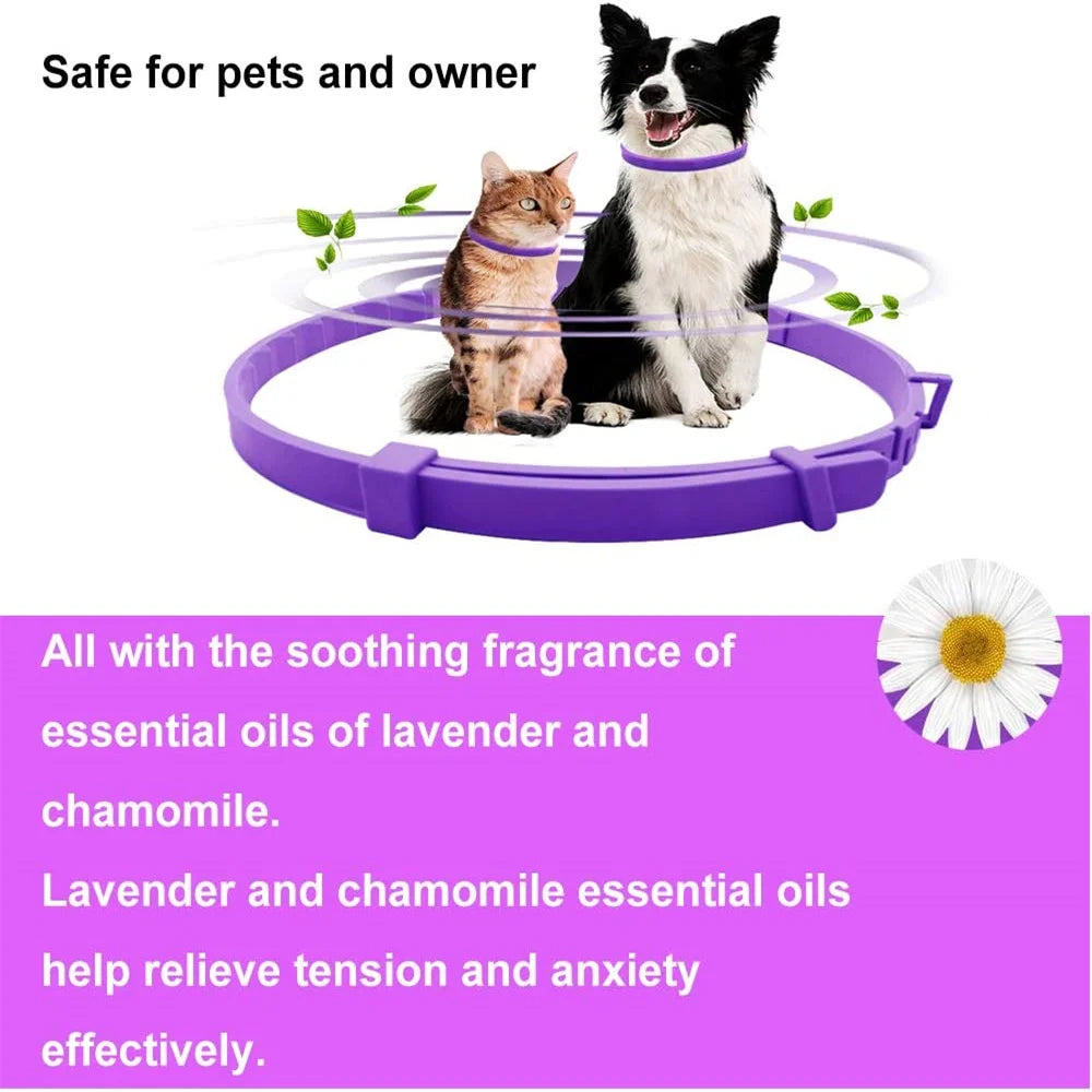 Pet Calming Collar For Cats Dogs Adjustable Anxiety Pheromone Reducing Pet Collar Lasting Natural Calm Relax Soothing Collars Beauty World Shop