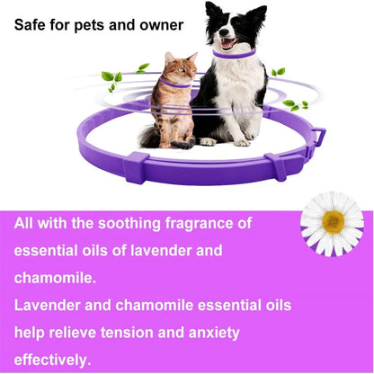 Pet Calming Collar For Cats Dogs Adjustable Anxiety Pheromone Reducing Pet Collar Lasting Natural Calm Relax Soothing Collars Beauty World Shop