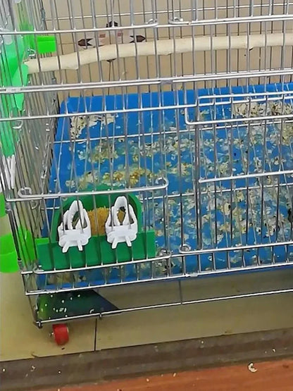 Cute Small Pet Bird Food Holder Parrot Fruits Vegetables Clip Cuttlefish Bone Feeder Device Clamp Bird Cage Accessories Oiseaux Beauty World Shop