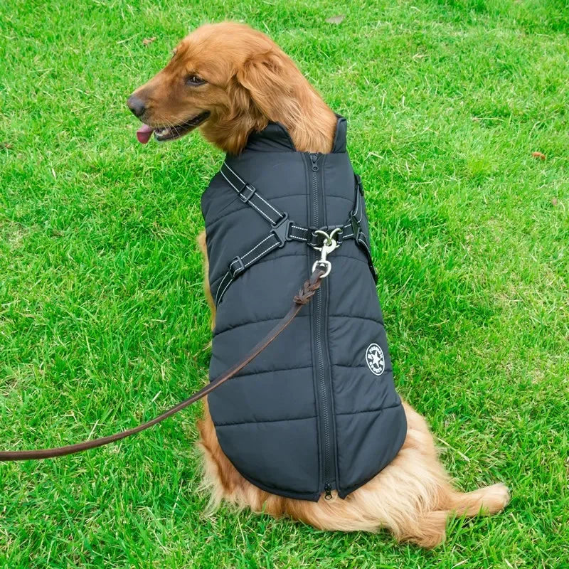 Large Pet Dog Jacket With Harness Winter Warm Dog Clothes For Labrador Waterproof Big Dog Coat Chihuahua French Bulldog Outfits Beauty World Shop