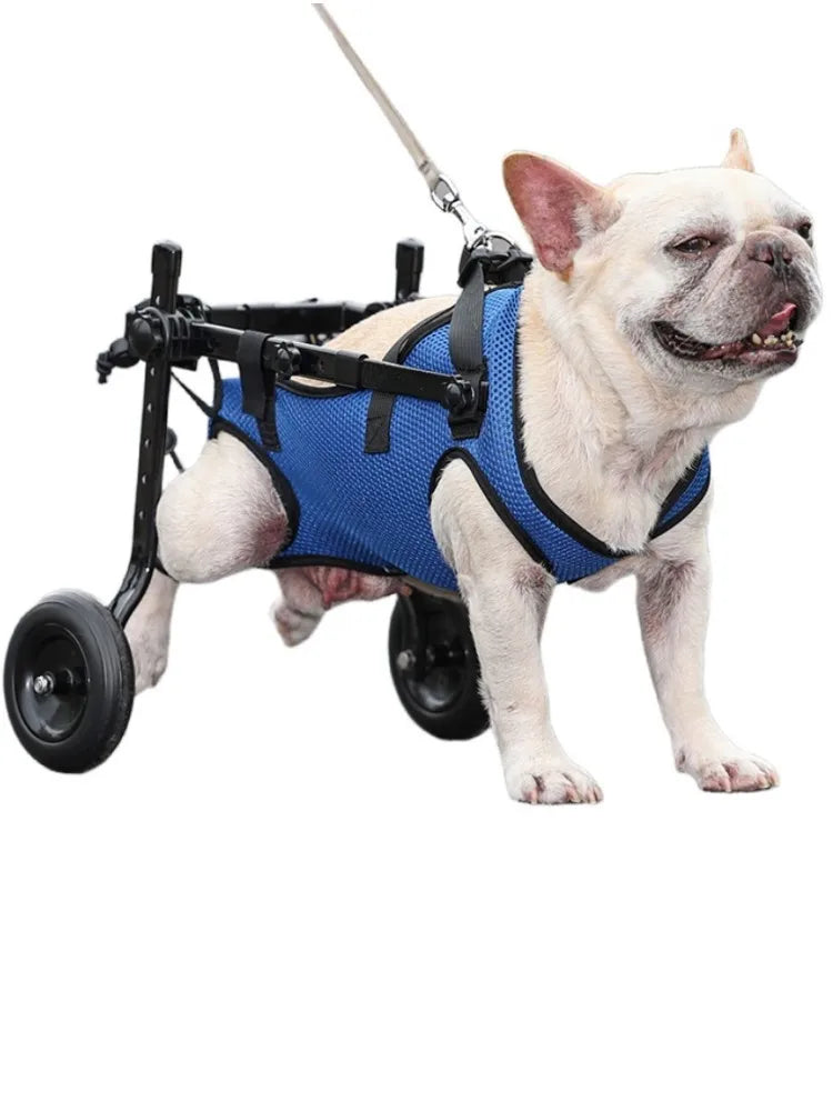 Pet Wheelchair Cart Adjustable Pet Mobility Aids with Wheels Disabled Cat Dog Rehabilitation Walking Mobility Aid Troll Beauty World Shop