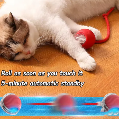 Hot cat toys are automatically teasing cat balls and self-exciting cat sticks and ticks and resistant to wear and bite pet toys Beauty World Shop
