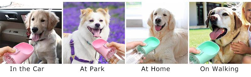Portable Dog Water Bottle For Small Large Dogs Cat Outdoor Leakproof Walking Drinking Bowls Chihuahua French Bulldog Supplies Beauty World Shop