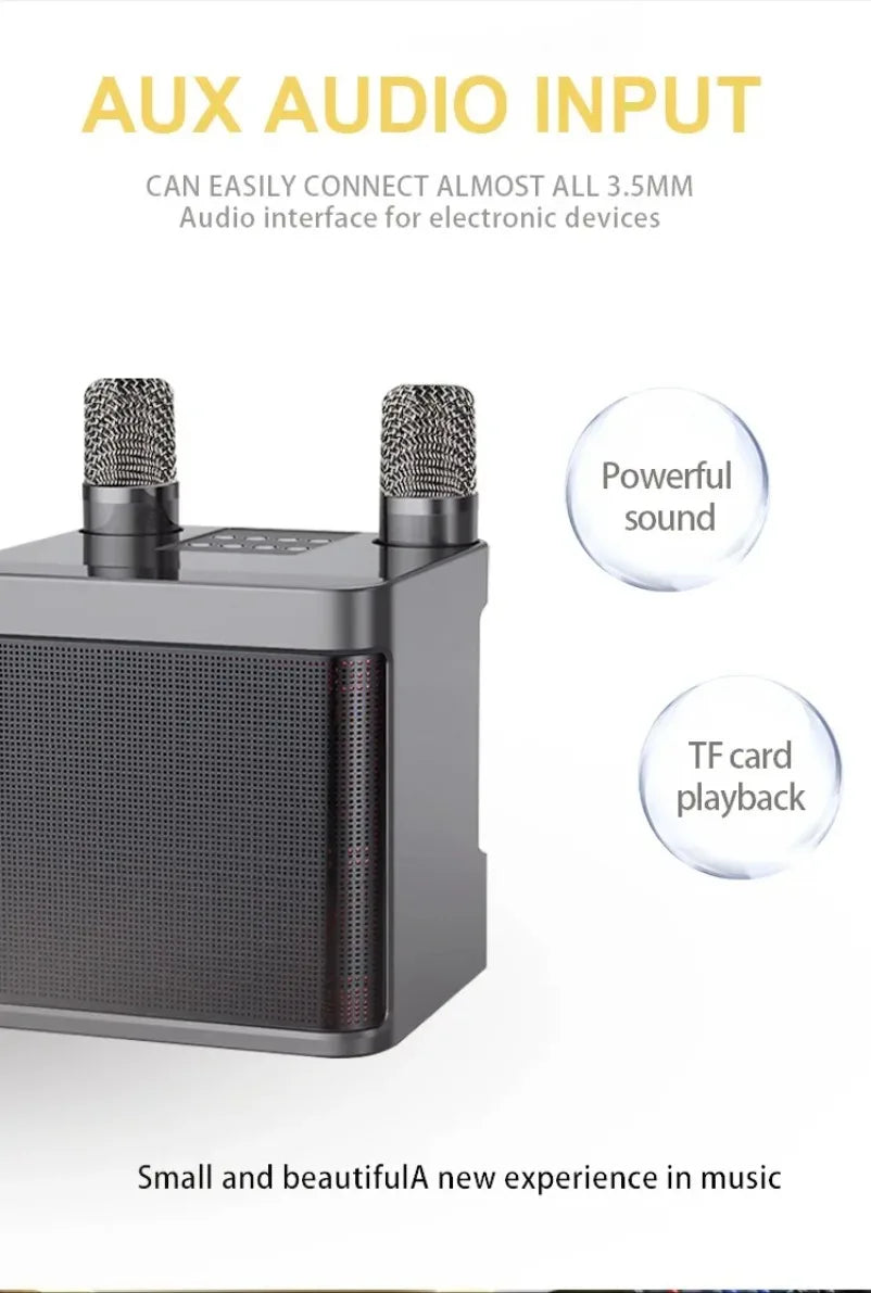 10W Powerful Wireless Portable Dual Microphone Bluetooth Sound Outdoor Family Party Karaoke Subwoofer Boom Box with 2 Microphone