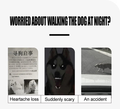 New Dog Luminous Collar Bright Dog Collar Glowing Led Light Dog Collar Light Night Safety GXQ02