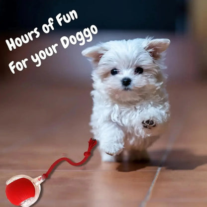 Smart Cat Toys Automatic Rolling Ball Fake Tail Rechargeable Electric Pet Interactive Toy Dog Cat Training Imitate Mouse Tail