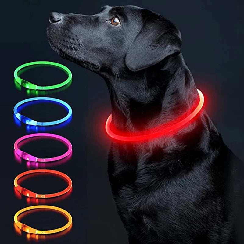 Luminous Dog Collar Light Charge Cat Necklace, Led Fashion Flashing DIY Glowing Safety Collar for Dogs Nighttime Pet Accessorie Beauty World Shop
