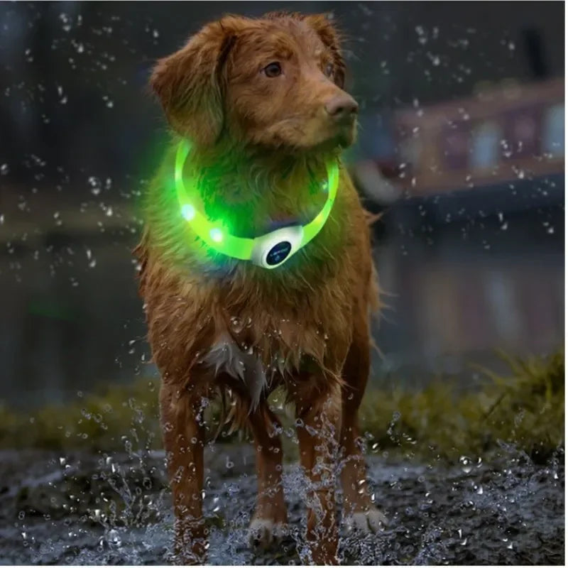 New Led Luminous Dog Collar PVC Waterproof , For Large Medium Small Dogs Collar Usb Light Night Safety Pet Glowing Accessories Beauty World Shop