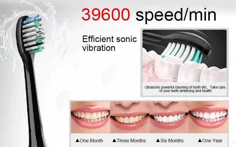 Sonic Electric Toothbrush Smart Ultrasonic Dental Teeth Whitening Rechargeable Adult Tooth Brush Sarmocare S100 With8 Brush Head Beauty World Shop