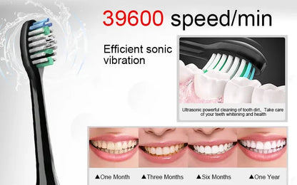Sonic Electric Toothbrush Smart Ultrasonic Dental Teeth Whitening Rechargeable Adult Tooth Brush Sarmocare S100 With8 Brush Head Beauty World Shop
