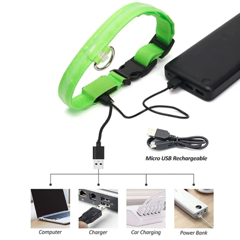 USB Rechargeable Luminous Collar Adjustable Led Glowing Dog Collar for Large Small Dogs Cat Night Light Collar Pet Safety Harnes Beauty World Shop