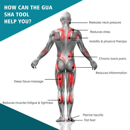 Professional Gua Sha Massage Tools, Stainless Steel Guasha Tool,Manual Massage Sticks for Jawline Sculpting & Puffiness Reducing Beauty World Shop