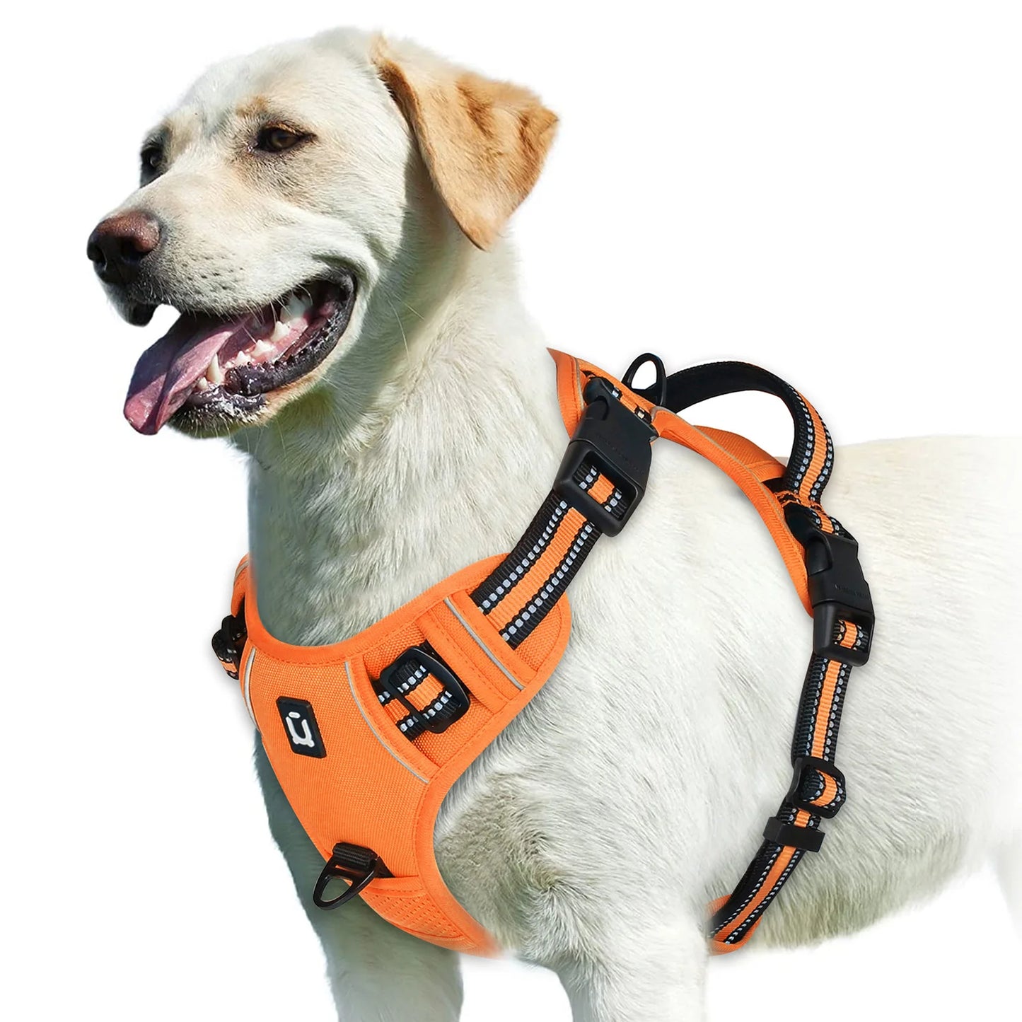 No Pull Dog Harness, Adjustable Soft Padded Pet Vest with Easy Control Handle Beauty World Shop
