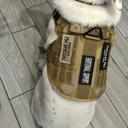 1 Piece Dog Patch for Service Dog Vest Cat Vest Removable Tactical Harness Service Dog Puppy Training Embroidered Patch