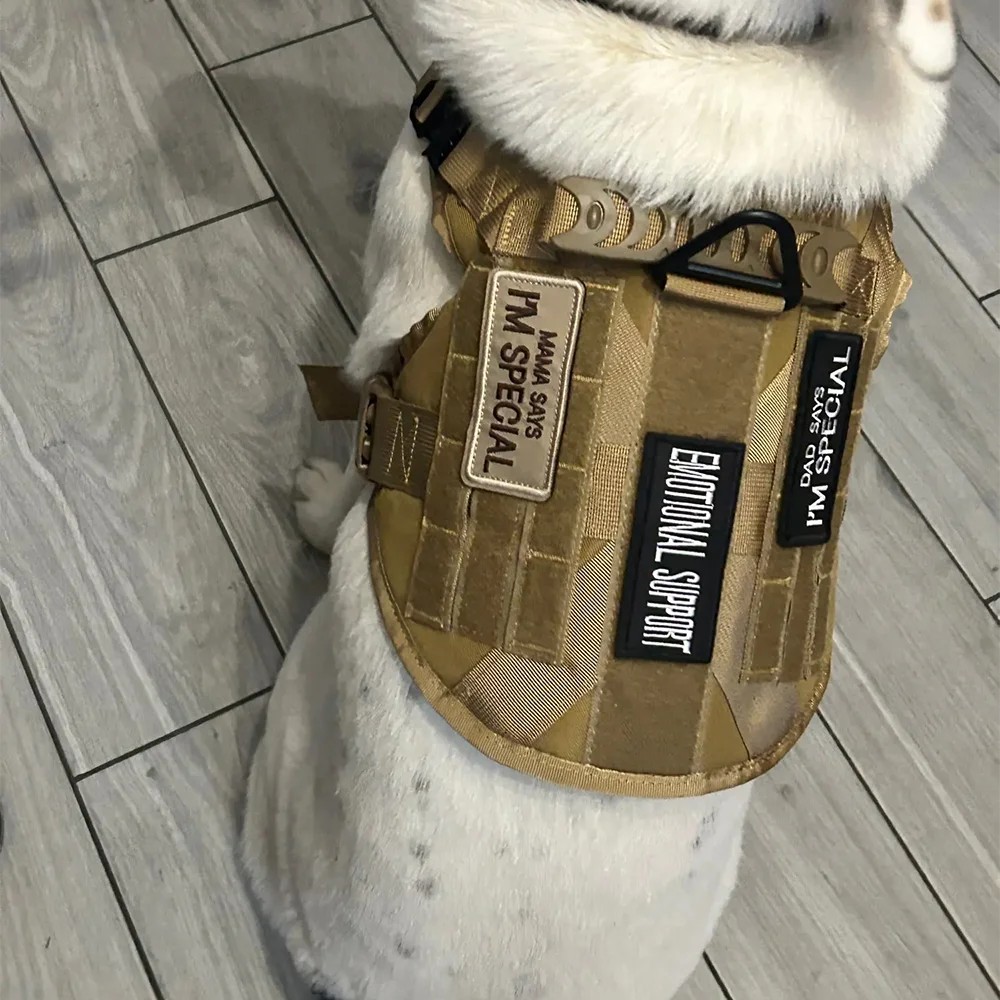 1 Piece Dog Patch for Service Dog Vest Cat Vest Removable Tactical Harness Service Dog Puppy Training Embroidered Patch Beauty World Shop