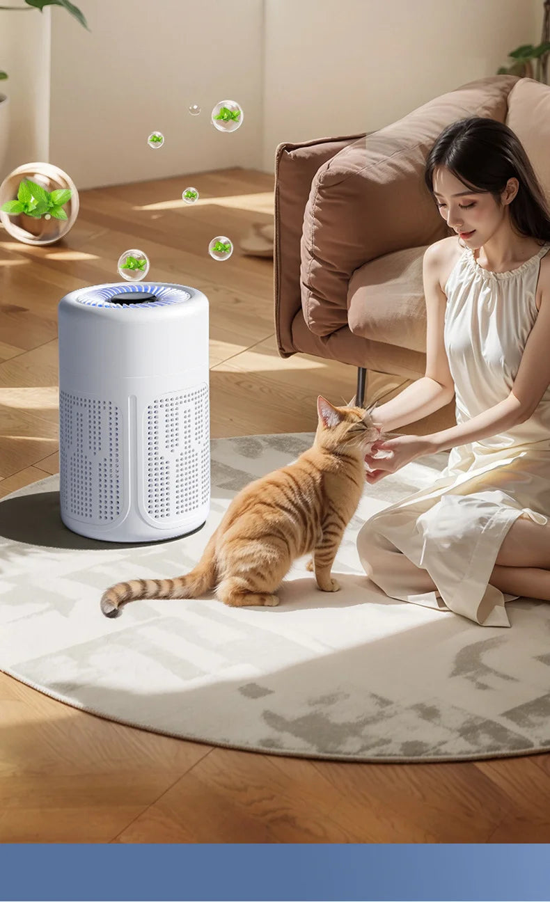 Mini Desktop Air Purifier HEPA Filter With Negative Ion Technology Eliminates Formaldehyde Odors Smoke And Dust Particles Beauty World Shop