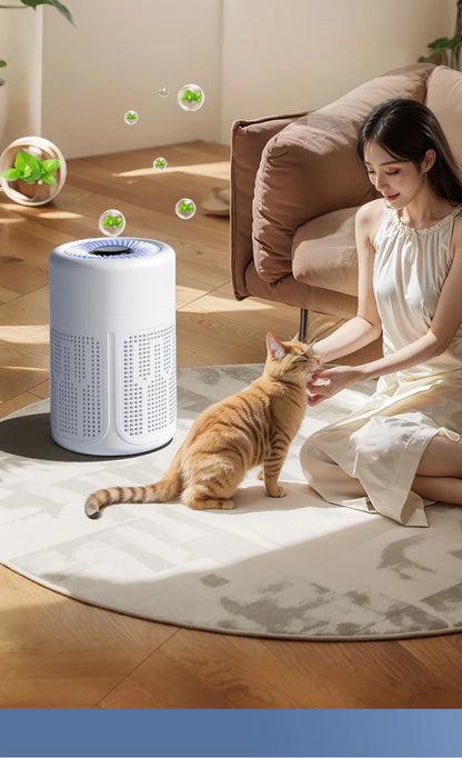 Mini Desktop Air Purifier HEPA Filter With Negative Ion Technology Eliminates Formaldehyde Odors Smoke And Dust Particles Beauty World Shop