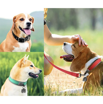 Padded Dog Collars for small Medium large Dogs Reflective Wide Pet Collars Adjustable Heavy Duty Nylon Neoprene Dog Collar Beauty World Shop