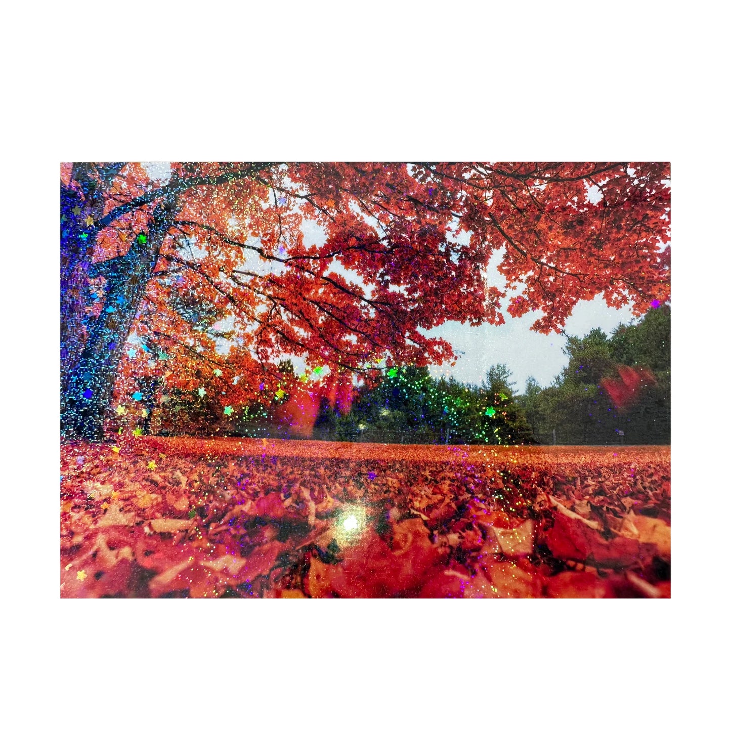 50 Sheets Sand Stars Holographic Sticker Paper 2.9×4.1 inch Glitter Clear Holographic Overlay Cold Laminating Film Self Adhesive Beauty World Shop