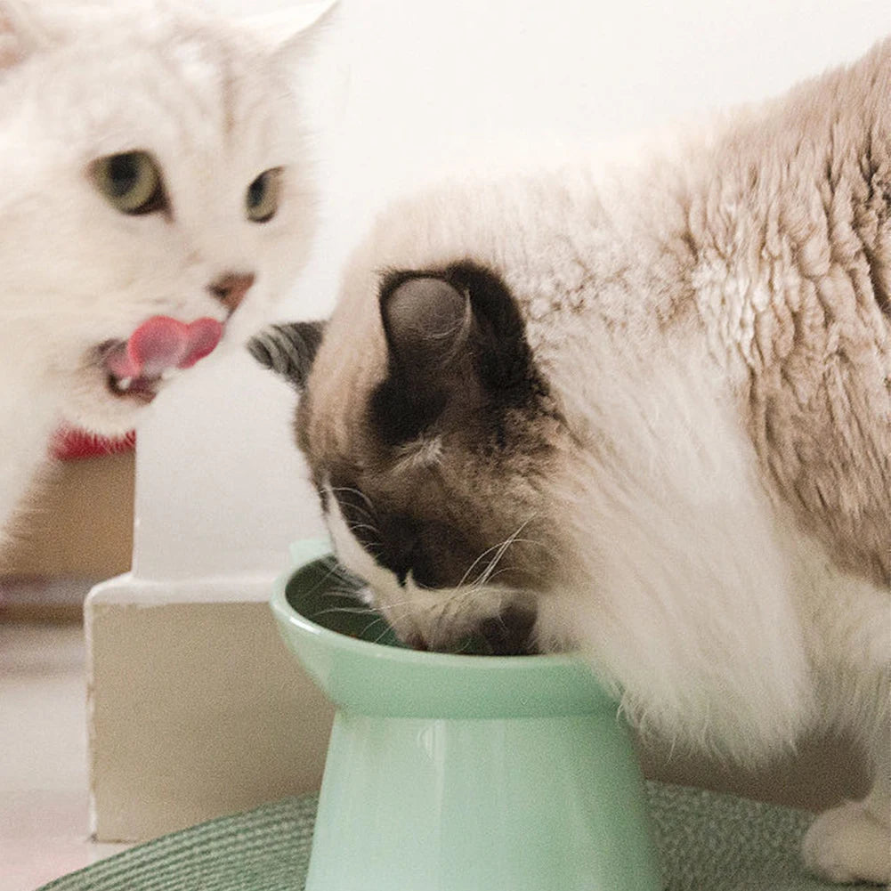 Tilted Cat Food Bowl Elevated Cat Bowl Ergonomic Cat Food Dish Anti Vomiting Plastic Feeding Bowl Non Slip for Flat- Faced Cats Beauty World Shop