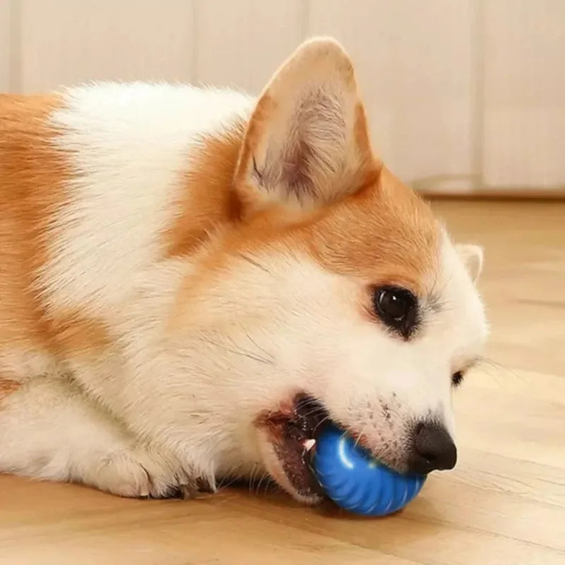 Dog Toy Ball Automatic Moving Bouncing Rolling Ball USB Smart puppy Interactive Dog Chew Toy Ball Beauty World Shop