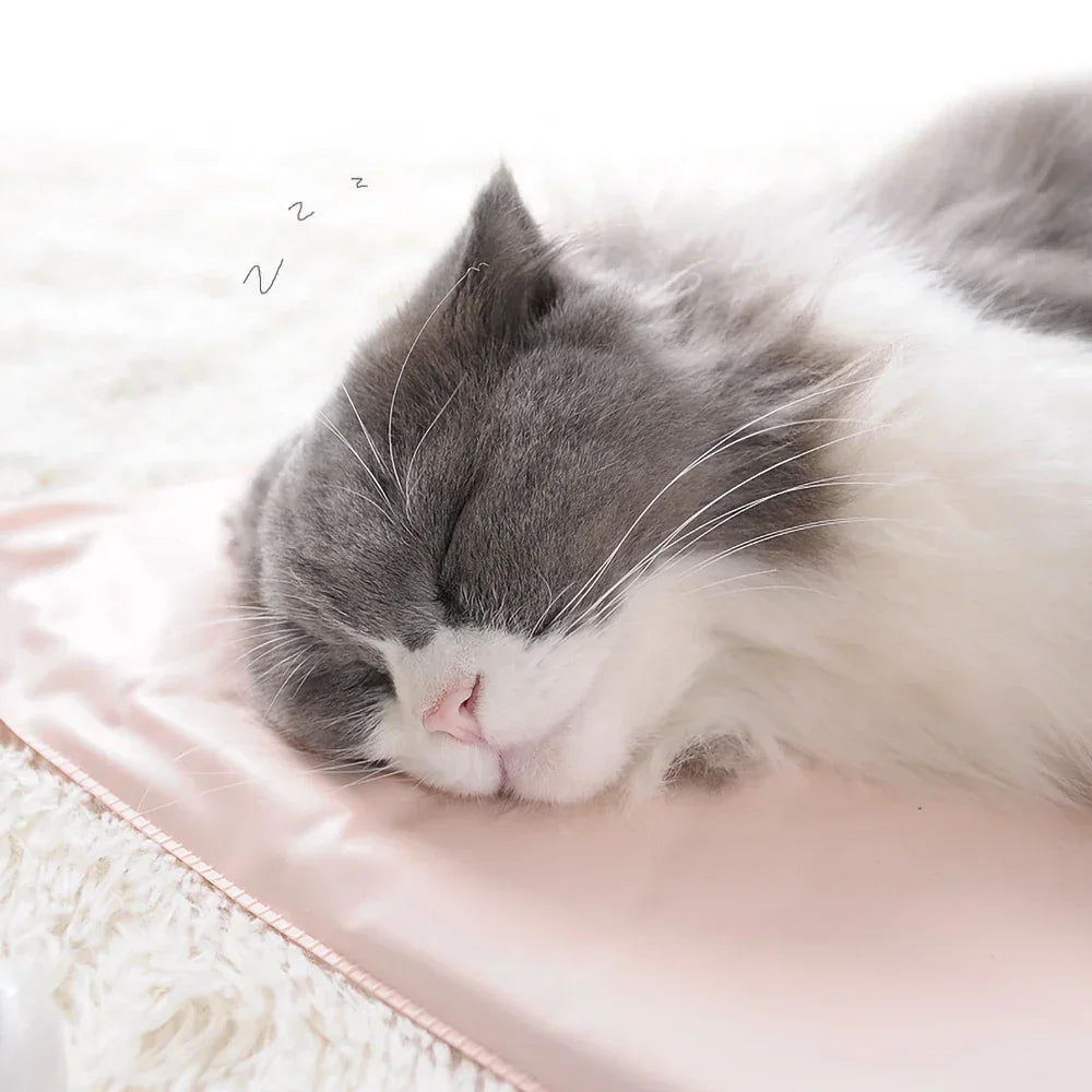 Winter Pet Heating Blanket Waterproof Wearable Wear Resistant Temperature Warm Cat Dog Mattress Indoor Heating Pad Pet Supplies Beauty World Shop