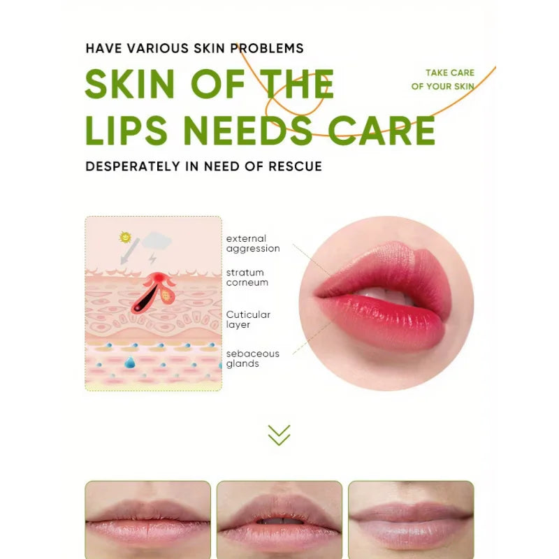 Aloe Lip Balm Healing Lasting Moisturizing All-natural Lip Mask For Dry Lips Lip Moisturizing Power Lip Care Nourishing Repair Beauty World Shop