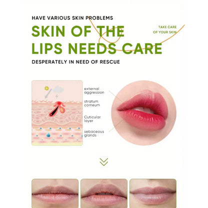 Aloe Lip Balm Healing Lasting Moisturizing All-natural Lip Mask For Dry Lips Lip Moisturizing Power Lip Care Nourishing Repair Beauty World Shop