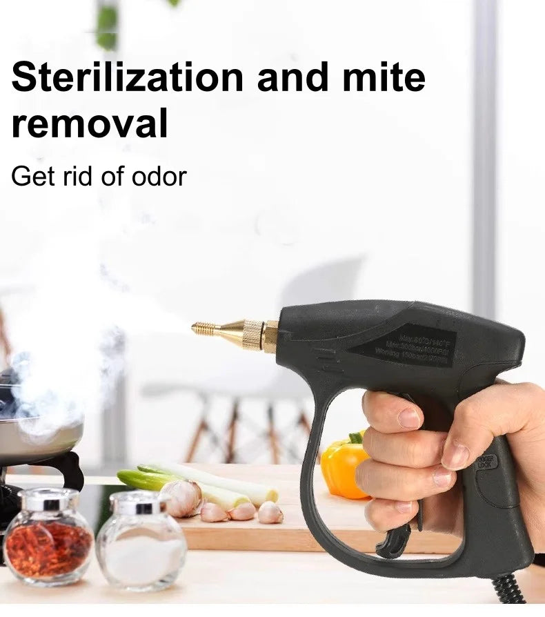2600w220V High Temperature Steam Cleaner Portable Sterilization Pressure Jet Washer Machine for Home Car Kitchen Air Conditioner Beauty World Shop