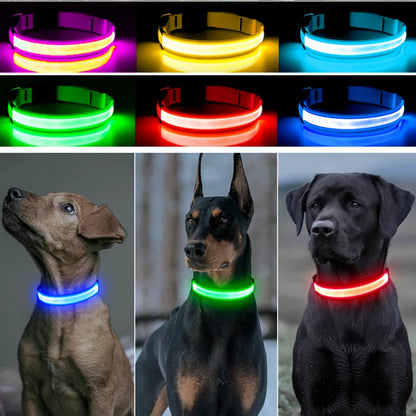Usb Charging Glowing Dog Collar With Pendant Detachable Luxury Led Light Bright For Small Dogs Cat Night Safety Collar Wholesale Beauty World Shop