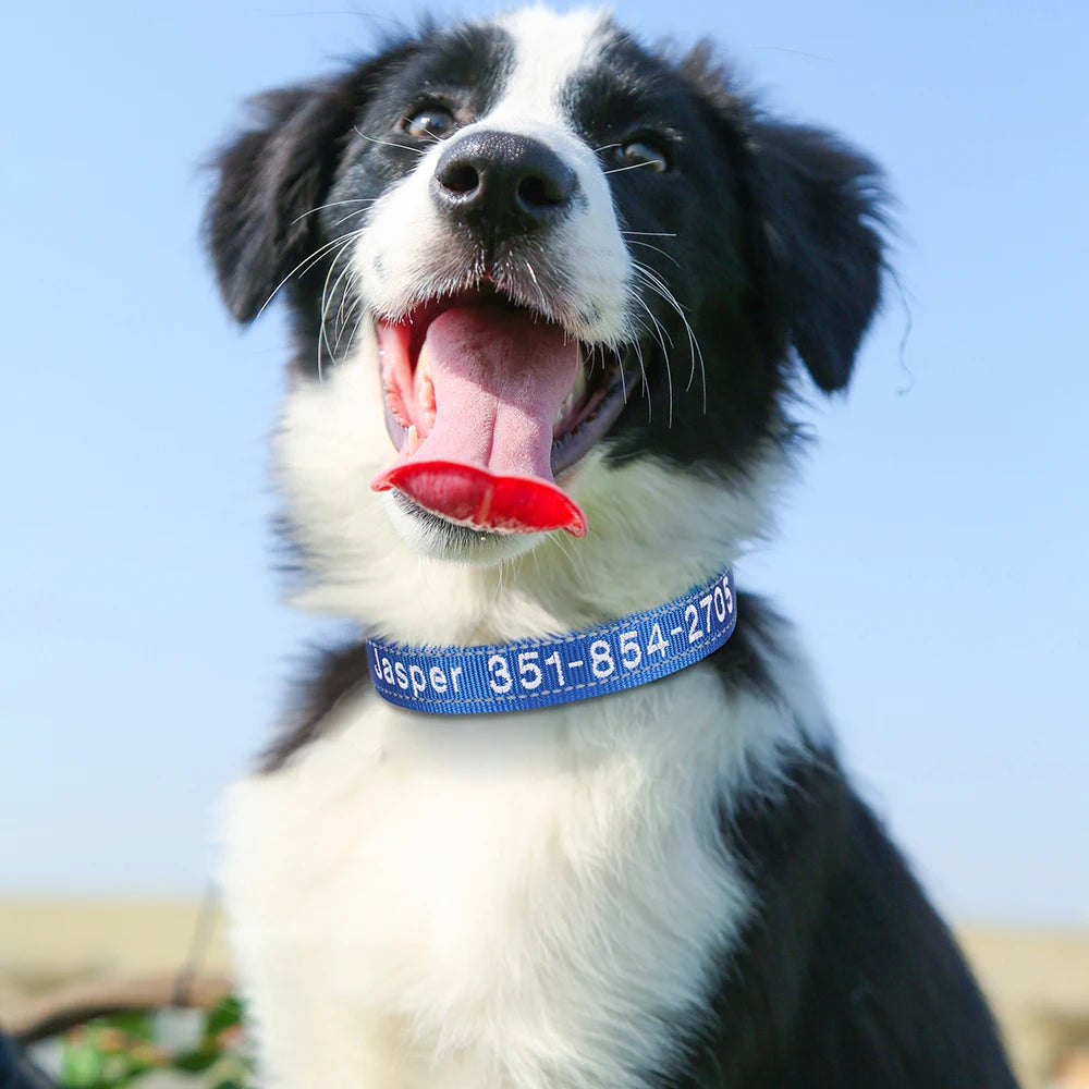 Embroidered Nylon Dog Collar Personalized Puppy Cat Collars Reflective Pet ID Collars DIY Phone Name ID For Small Large Dog Cat Beauty World Shop