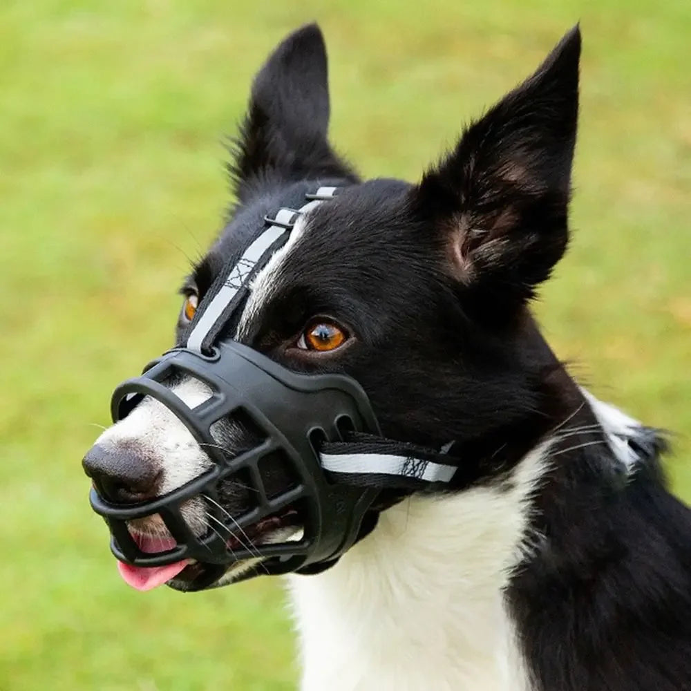 Adjustable Dog Muzzle Anti-Biting Dog Mouth Cover With Reflective Strip Can Drink Water Breathable Plastic Beauty World Shop