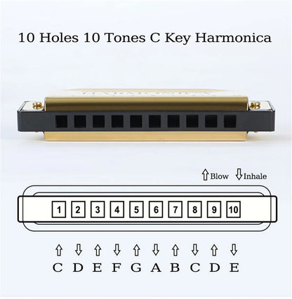 Miwayer 10 Holes Harmonica Key of C ,  Colorful Metal Shell  with Case for Beginner Students Kids Gift with Case Beauty World Shop