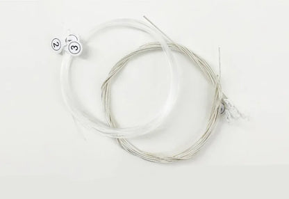 MOGE MG43 028-043 Classical Guitar Strings Nylon Silver Jacketed Wire Coating Musical Instrument Accessories Beauty World Shop