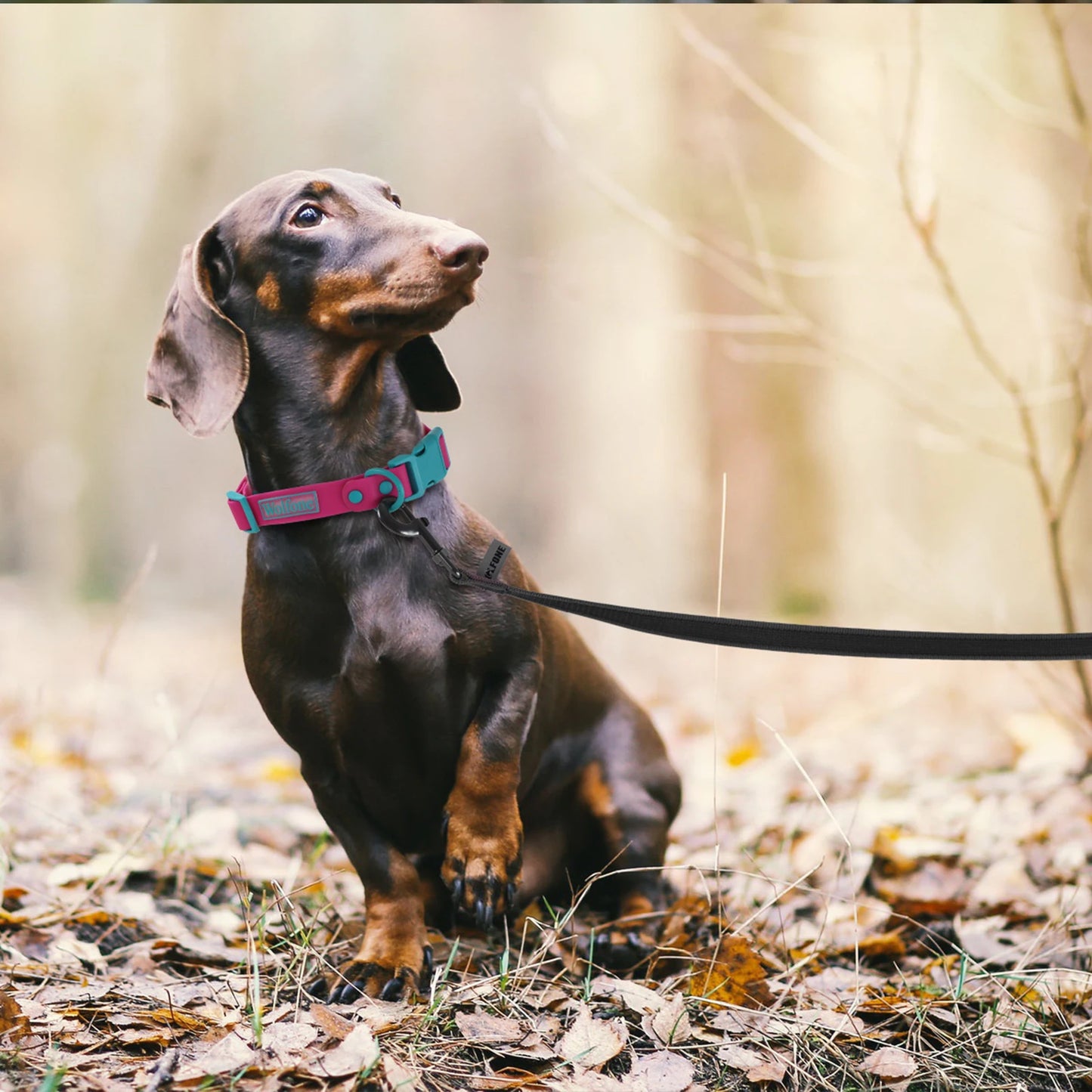 1.5M 5M 10M 15M Medium small Long Dog Leash 10M Latex Silk Easy and Convenient Training Big Dog Leashes