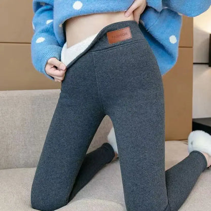 Women Thermal Leggings Winter Warm Sexy Elastic Translucent Pantyhose Female Fleece Thermal High Waist Slim Thicken Tight Pants Beauty World Shop