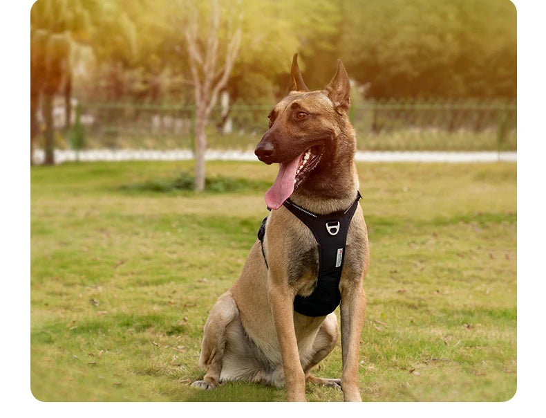 TRUE LOVE Pet Harness No Pull Nylon Reflective Dog Harness Adjustable Comfortable Control Step-in Brilliant Truelove TLH5654 Beauty World Shop