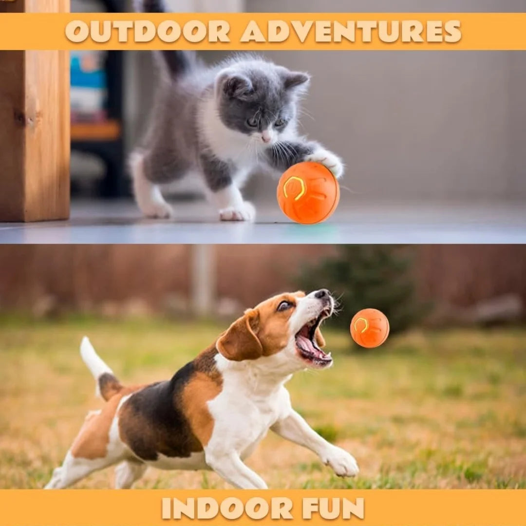 Pet toys Gravity Electric Amusement Pet Ball Smart Bouncing Ball For Dogs and Cats Beauty World Shop