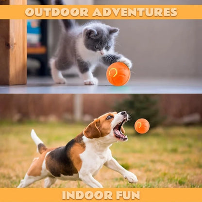 Pet toys Gravity Electric Amusement Pet Ball Smart Bouncing Ball For Dogs and Cats Beauty World Shop