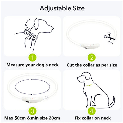 USB Rechargeable Luminous Collar Adjustable Led Glowing Dog Collar for Large Small Dogs Cat Night Light Collar Pet Safety Harnes Beauty World Shop