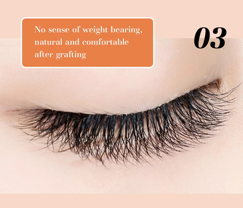 DeceMars 6D-W shaped eyelash extension Beauty World Shop