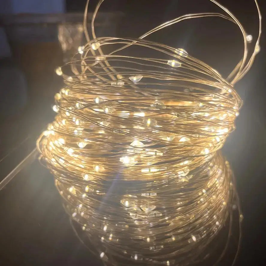 30M 10M Waterproof USB LED Lights String Copper Wire Fairy Garland Light Lamp Christmas Wedding Party Holiday Lighting wreath Beauty World Shop