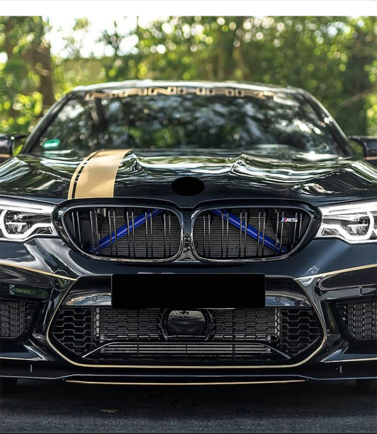 Car Front Grille Trim Strips For BMW 3 4 Series E21 E30 E36 E46 E90 E91 E92 E93 F30 F31 F34 F35 G20 G21 G28 External Accessories Beauty World Shop