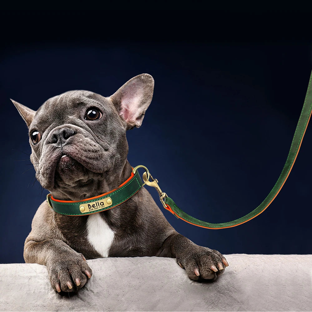 Customized Leather Dog Collar Leash Set Soft Padded Leather Collar For Small Medium Large Dogs With Free Engraved Nameplate Beauty World Shop