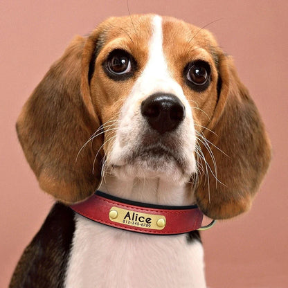 Personalized Customized Leather ID Nameplate Dog Collar Soft Padded Dogs Collars Free Engraving Name for Small Medium Large Dogs Beauty World Shop